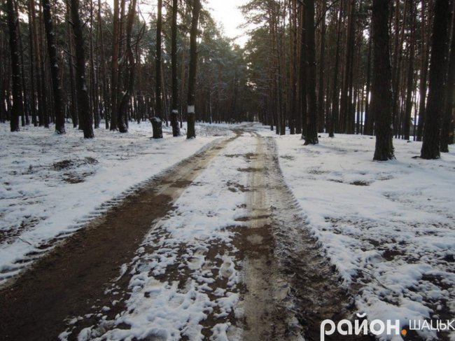 Шацькі озера засипало снігом. ФОТО