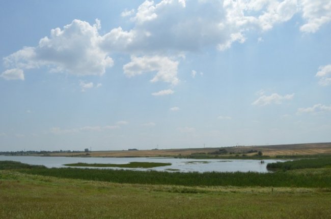 Як на Волині мисливці полювали на пернатих. ФОТО