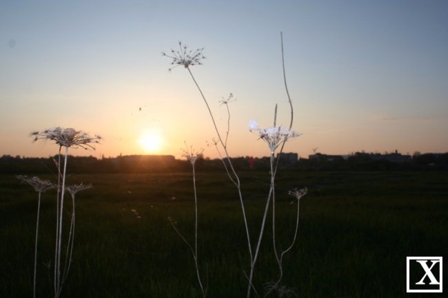 Узбережжя Стиру