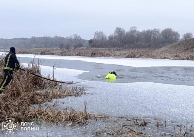 На Волині рятувальники допомогли собаці, який опинився  у крижаній водоймі