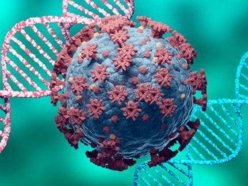 Оприлюднили статистику щодо коронавірусу в Україні за минулу добу 