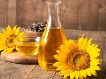 З Волині до Гданська планують побудувати трубопровід для експорту олії 