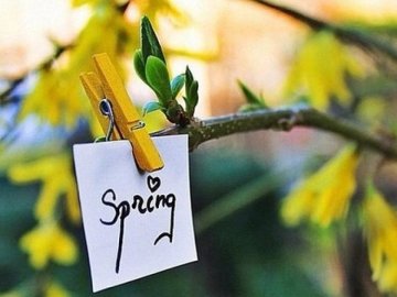 Погода в Луцьку та Волинській області на середу, 8 квітня