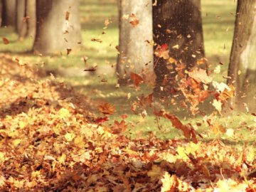 Погода в Луцьку та Волинській області на вихідні, 21 і 22 вересня