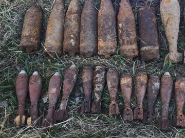 Волиняни у полі знайшли боєприпаси часів Другої світової війни 