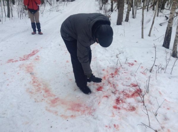 Волинський заказник перетворили на приватне мисливське угіддя, – волонтер