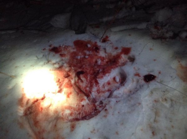 Волинський заказник перетворили на приватне мисливське угіддя, – волонтер