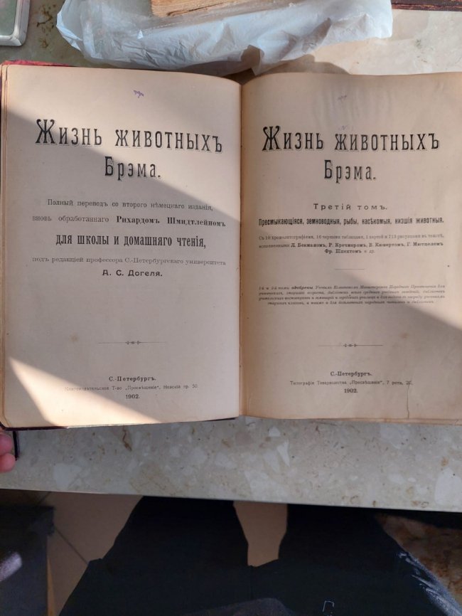 Через «Устилуг» намагались вивезти 13 антикварних книг та дві медалі