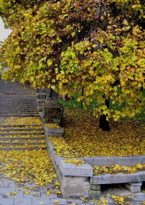 Осінь у Луцьку. ФОТО