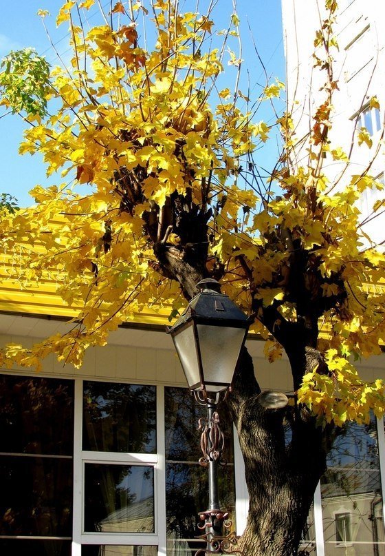 Осінь у Луцьку. ФОТО