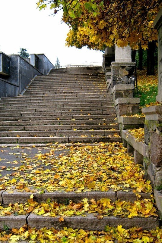 Осінь у Луцьку. ФОТО