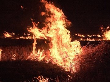 На Волині вже згоріло 323 гектари полів