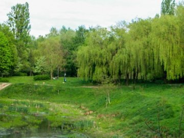 На луцькі парки та сквери витратять 16 мільйонів гривень