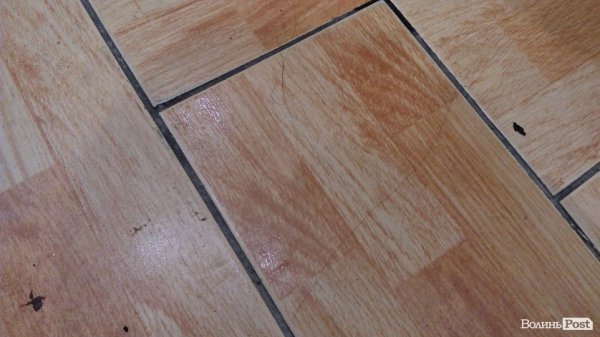 Fresh line, або Як ми самі собі сендвіч готували.ФОТО