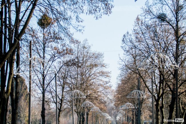 У Луцьку – майже весна. ФОТОРЕПОРТАЖ