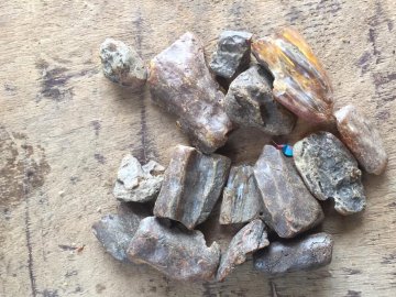 Волинянин бусом хотів перевезти до Польщі 12 кілограмів бурштину. ВІДЕО