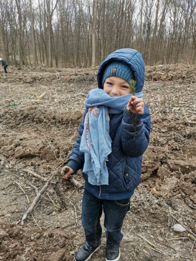 На Волині буде «сонячний ліс» від «сонячних дітей».ФОТО