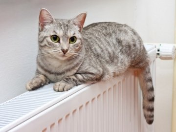 Як грітися вдома, не збільшуючи витрати на опалення?*