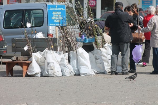 Передвеликодній ярмарок в Луцьку. ФОТО