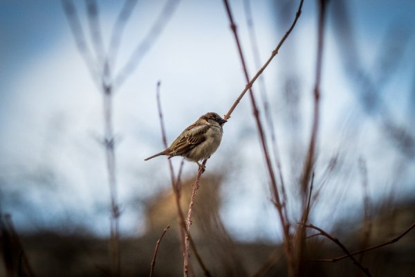 Фотовиставка: Юлія Лінчук