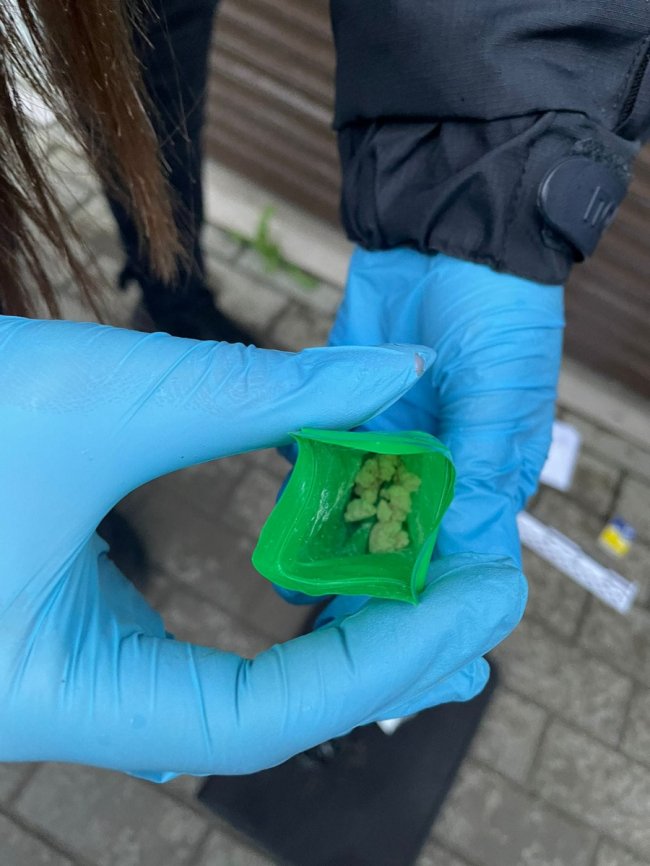 На Волині поліцейські затримали чоловіка з дурманом