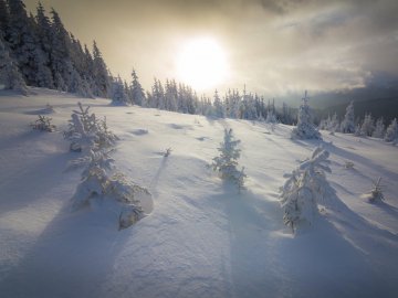 Луцький фотограф поділився світлинами засніжених Карпат
