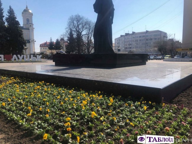 У центрі Луцька почали висаджувати квіти. ФОТО