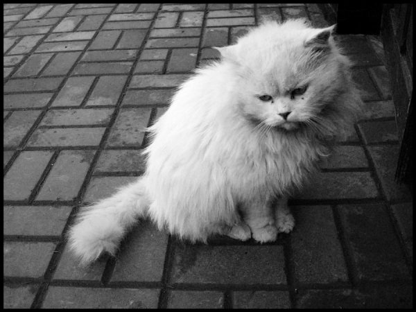 Фотовиставка Валентини Жуги