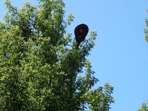 Луцький зоопарк «виходить» з темряви. ФОТО