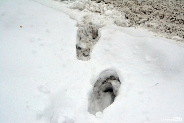 Лютий лютує: фото зими в Луцьку