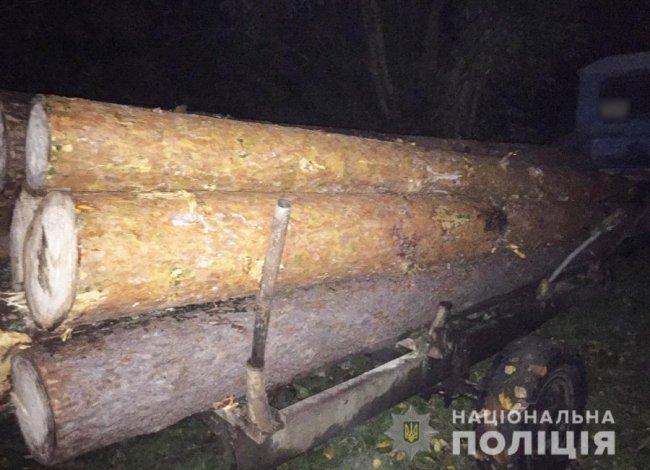 На Волині затримали трактор з незаконним лісом