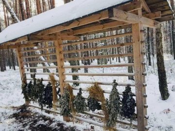 Як волинські ліси підготувалися до зимівлі тварин