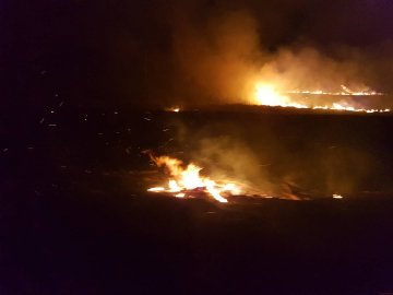 У Ковелі намагаються загасити пожежу на полі. ФОТО