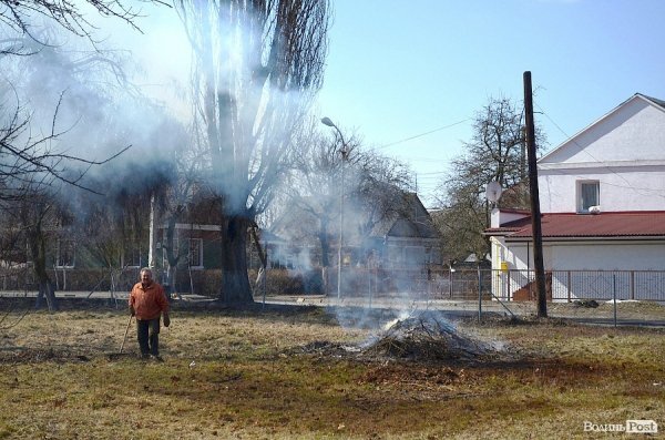 У луцькому парку зноситимуть дерева