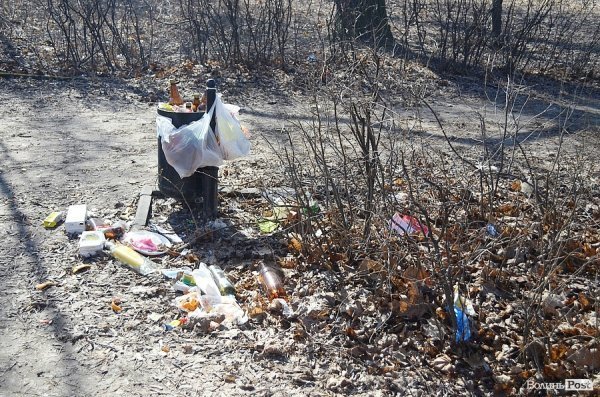 У луцькому парку зноситимуть дерева