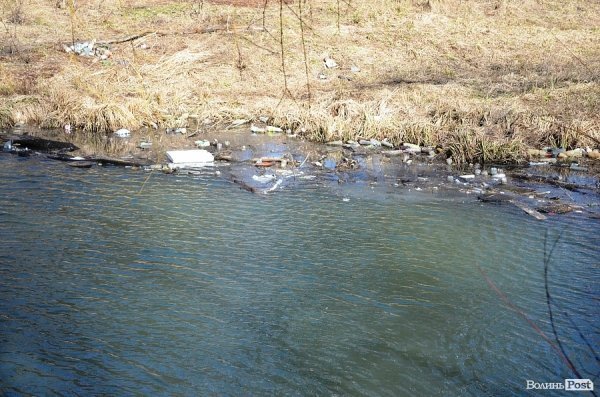 У луцькому парку зноситимуть дерева