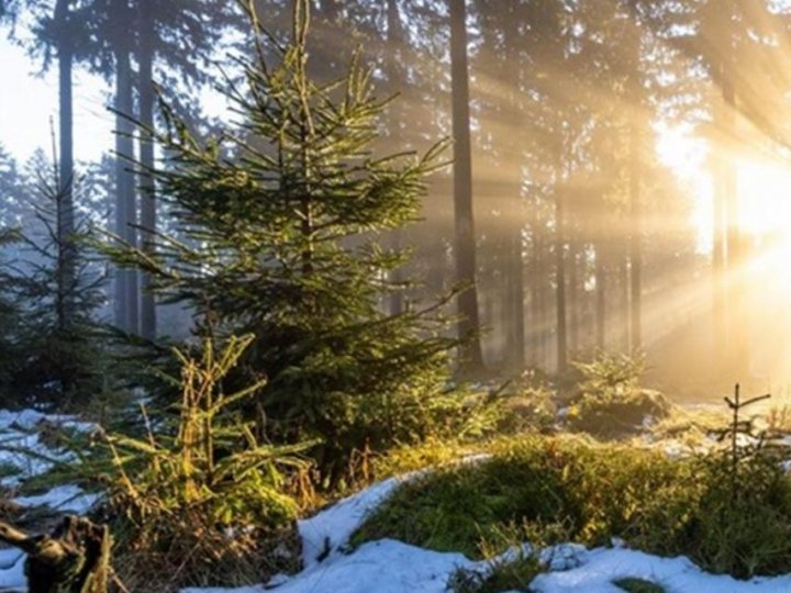 Якою буде зима 2024: несподіваний прогноз синоптиків