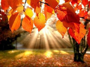 Синоптики розповіли, чи буде похолодання у найближчі дні