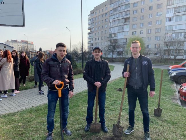 «Усе має бути красиво»: як луцький депутат зі школярами дерева садив. ФОТО