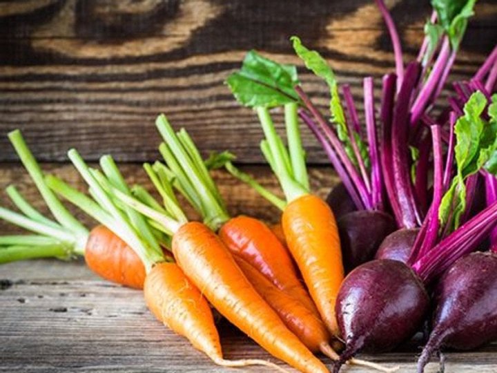 Коли найкраще викопувати буряк і моркву для тривалого зберігання