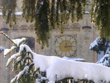 Погода в Луцьку та Волинській області на завтра, 23 лютого