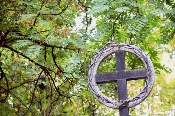 Фотопогляд: вулиця Шопена 