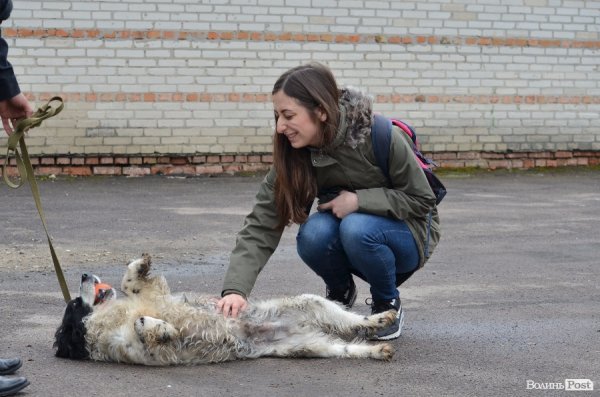 Як живуть та тренуються службові собаки. ФОТО