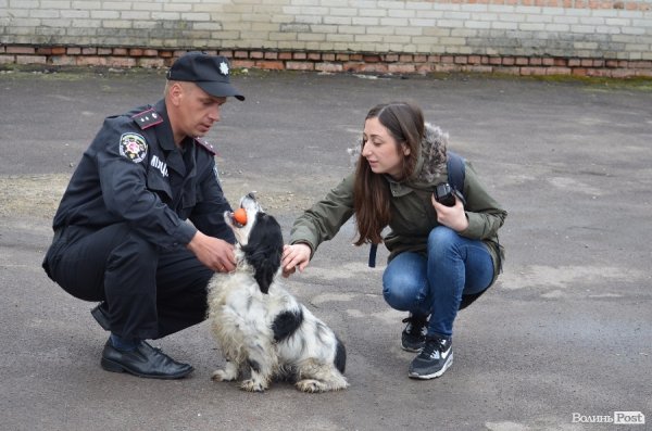 Як живуть та тренуються службові собаки. ФОТО