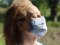 Як правильно носити маску в літню спеку: поради фахівців