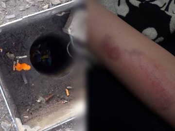 Провалля у центрі Луцька: у нього впала і травмувалася дитина. ВІДЕО