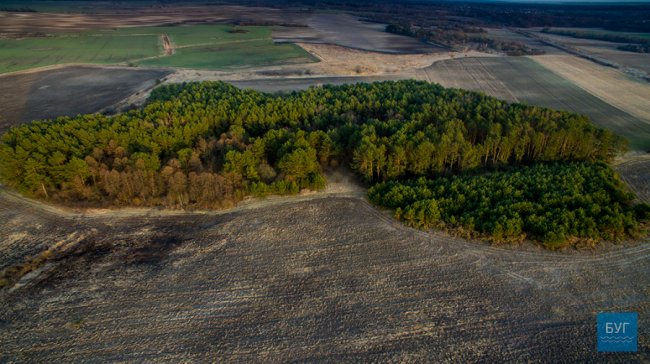 Наче апокаліпсис: показали моторошні фото після пожеж на Волині