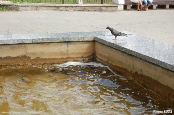 У «Луцькводоканалі» кажуть, що чистять фонтани, «на скільки це реально». ФОТО
