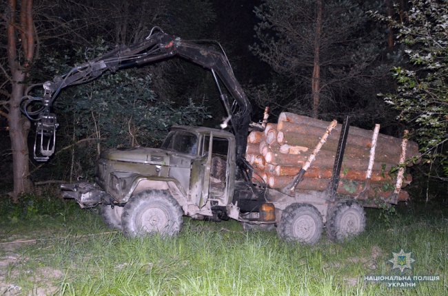 Волинянин на ЗіЛ викрав 24 соснові колоди. ФОТО