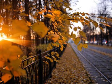 Погода в Луцьку та Волинській області на вівторок, 17 листопада
